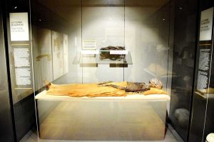 Torino Mısır Müzesi Ahmose'nin mumyası ve mezarı - Turin Egyptian Museum mummy and grave of Ahmose