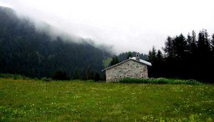 Trans Karadeniz turu Pokut yaylası kapıyı çaldık - Trance Black Sea route photos knocked the door Rize Pokut plateau