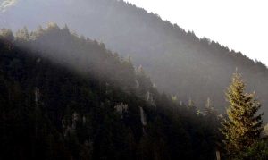 Trans Karadeniz turu Trabzon Uzungöl gölgeyi takip ettik - Trance Black Sea route photos followed the shadows Trabzon Uzungol