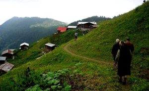Trans Karadeniz güzergahı fotoğrafları Pokut yaylası havadisleri aldık - Trance Black Sea route got the news Rize Pokut plateau.