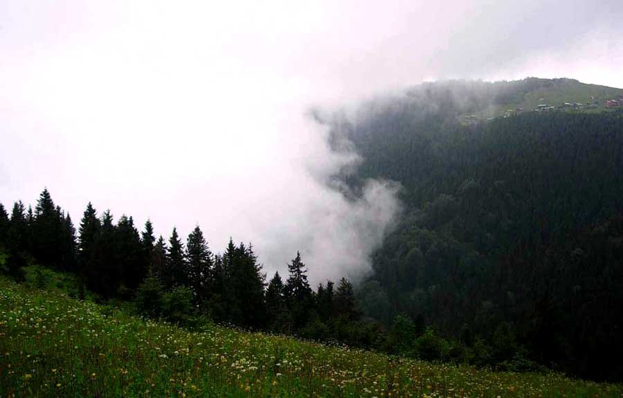 Trans Karadeniz turu fotoğrafları Rize pokut yaylası taa oradan geldik - Trance Black Sea route photos we came along Rize Pokut plateau