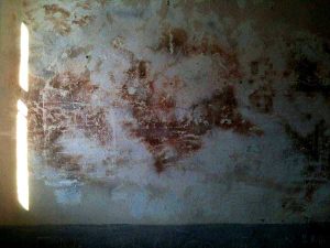 Trans Karadeniz güzergahı fotoğrafları Sinop Cezaevi duvarlarda yazanları okuduk - Trance Black Sea route photos writings on the wall in sinop prison