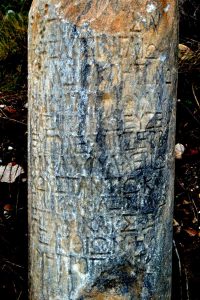Xanthos antik kenti fotoğrafları üzeri yazılı kolon parçası - Xanthos ancient city inscribed column piece