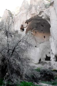 Zelve açık hava müzesi, Göreme, Ürgüp, Kapadokya fotoğrafları - Zelve openair museum, in the shade of tree and ston, Cappadocia photos